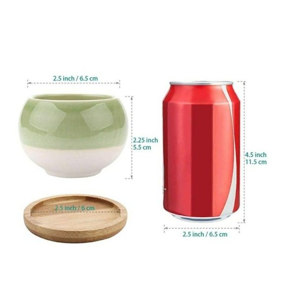 T4U Suculent Cactus Pots - Picture 2 of 4